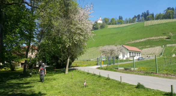 *Jasno,imamo se krasno *