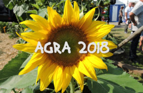 * AGRA 2018 *