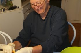 Jesen mnemec.si