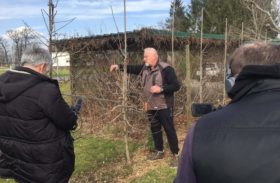 V oddaji “Na vrtu”